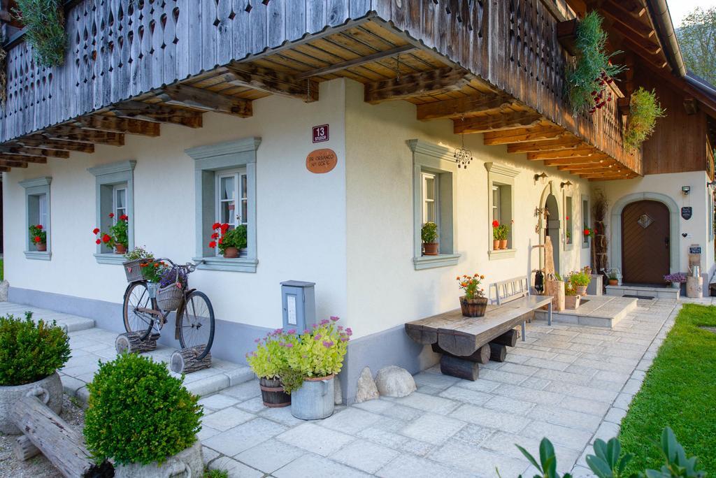 בית הארחה בוהין 	Rustic House 13 מראה חיצוני תמונה